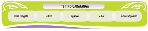 Diagram of&nbsp;Te Tino Uaratanga&nbsp;