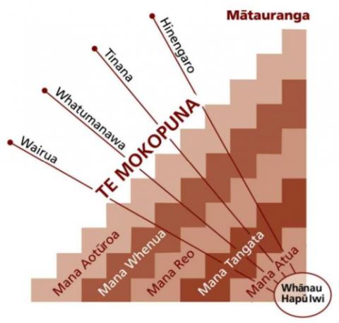 Poutama for ERO Evaluation Indicators Diagram