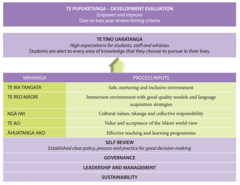 This diagram shows the criteria for Te Pupuketanga development evaluation.