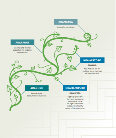 This image shows the vine or aka with ERO's three evaluation approaches for early childhood services.