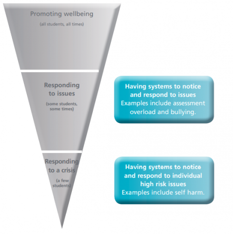 Secondary schools' promotion of and response to student wellbeing&nbsp;