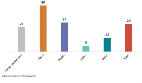 Figure 40: Stand-down rates per 1,000 learners by ethnic groups: 2020  